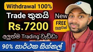 එක දවසින් ඩොලර් 24 රු 7200 සිග්නල් වලට ගත්තා | Earn Money From Signal Trading | E-Money | SL Costa