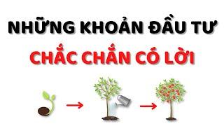 Định Nghĩa ĐẦU TƯ Theo Cách Này Để Chắc Chắn CÓ LỜI!