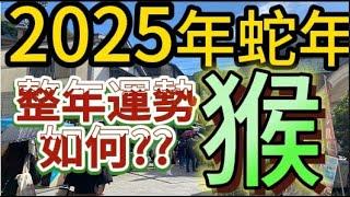 【古柏論命 - 張古柏】2025年乙巳年12生肖整年運勢透析 –猴