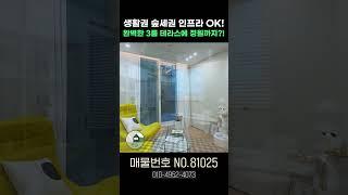 파주 3룸 왕테라스에 정원까지 있다! 더블역세권 교통편까지 완벽 그 자체??!(No.81025) #파주신축빌라 #파주테라스 #파주신축아파트