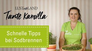 Tante Kamilla - Schnelle Tipps bei Sodbrennen