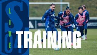 TRAINING RE-LIVE | FC Schalke 04