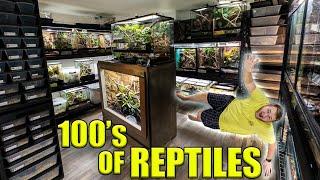 Reptile Room Tour September 2024!! 145+ PET Reptiles and Amphibians!