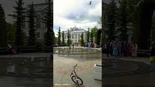 СВАДЬБА В ПЕТЕРГОФЕ!!!