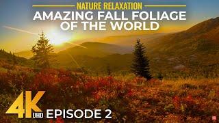 4K Amazing Fall Foliage of the World - Scenic Nature Colors with Real Sounds & Gentle Music - Ep 2