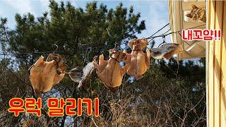 설날 제수용 활우럭 손질해서 말리기