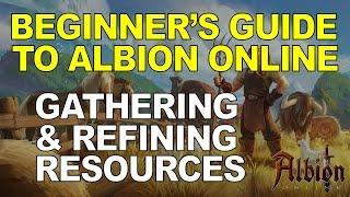 Beginner's Guide To Albion Online - Gathering & Refining Resources
