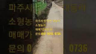 파주시 탄현면  대동리 소형농지 110평    매매가 7천만원 거래완료! 문의 010  9656  0736