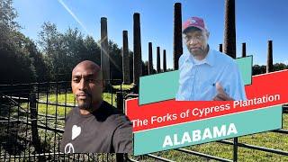 Historic Forks of Cypress Plantation: Exploring Florence, Alabama's Antebellum History