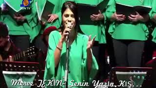 Merve TEKİN - Senin Yazın Kışa Benzer