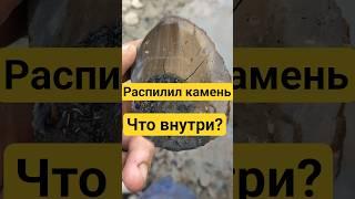 Распилил камень, внутри оказалось.. #золото #камнемания #минералы #окаменелости #аммонит #наутилус