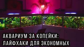 Экономим на электричестве и не теряем в красоте: бюджетное содержание аквариума! 4К