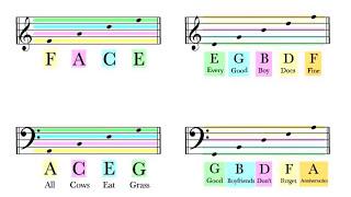 How To Read Notes On The Staff | EASY | Music Theory Tutorial