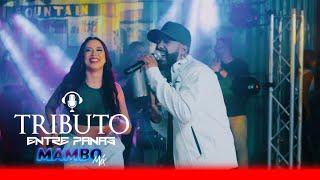 TRIBUTO ENTRE PANAS MAMBO MIX Shakira Miley Cyrus Karol G  Rosalía Myke Towers Feid Manuel Turizo