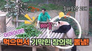 에버랜드 판다월드 보는 사람들 입 떡 벌어지게 만든 푸바오의 머리쓰는 먹방! 송바오의 당떡당떡은 창의력을 높여주지요 Baby Panda Fu Bao