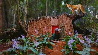 building a secret and warm survival shelter | bushcraft earth hut and jungle green flower