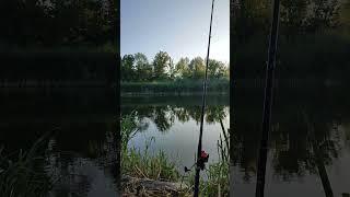 утро на рыбалке #рыбалка2024 #ловлясома