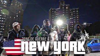 GabMorrison - Albany Brooklyn : Zone de guerre à New York (avec Turtle B)