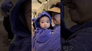선우의 두번째 제주여행 (25.06.04~06) #7개월아기 #아기랑제주도 #여행브이로그