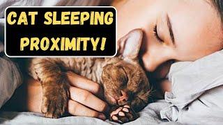 What The Distance Your Cat Sleeps From You REALLY Means