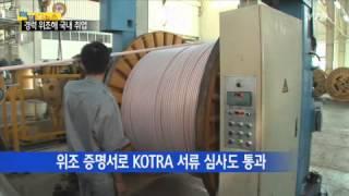 KOTRA 속인 베트남 용접공 무더기 적발 / YTN