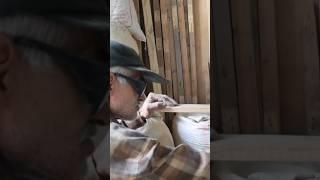 Working with the old wood planer machine