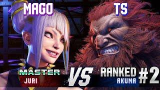 SF6 ▰ MAGO (Juri) vs TS (#2 Ranked Akuma) ▰ High Level Gameplay