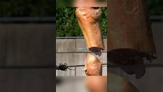 Sword claymore BREAKS during k*ll test  | Sword-making