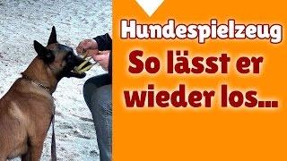 Hundetraining mit Steffi ► So lässt dein Hund das Hundespielzeug wieder los