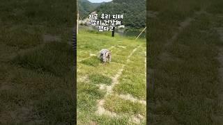 96만뷰를 기록했던 영상속 디테의 요즘 모습