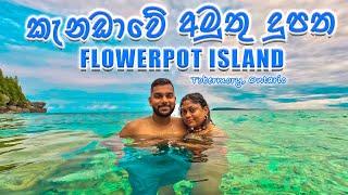 කැනඩාවේ අමුතු දුපතක දවසක් | Flowerpot Island, Tobermory, Ontario | ALLDAY VLOG 55 