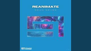 ReAnimate (Original Mix)