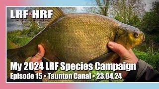 Episode 15: My 2024 LRF Species Hunt - Taunton Canal