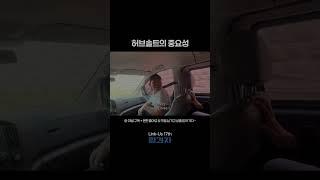 허브솔트의 중요성