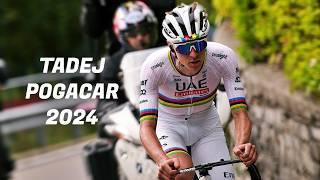 Tadej Pogacar 2024 I Best Of