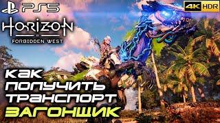 Как получить ТРАНСПОРТ ЗАГОНЩИК (Clawstrider) | Horizon Forbidden West | PS5 | 4k 60FPS