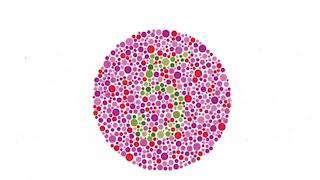 Kiểm tra mù màu- Test EPS TOPIK Colour Blindness Test- xuất khẩu lao động Hàn Quốc