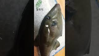말쥐치 같이 먹어요^^~~~