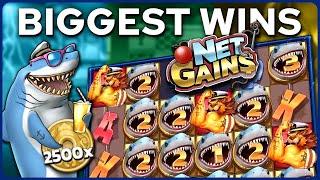 Top 5 Biggest Slot Wins on Net Gains