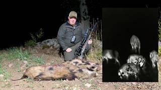 RIFLE SETUP FOR HUNTING WILD BOAR AT NIGHT - Incl. thermal video of 2 wild boars shot