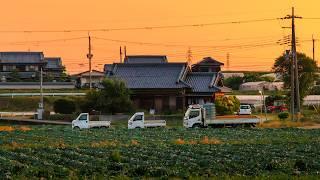 Sunrise Walk with Glassy Fields on Edge of Town | Inami, Japan - 4K Dawn Ambience