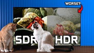 Is HDR Worse? - HDR vs SDR On Monitors & TVs