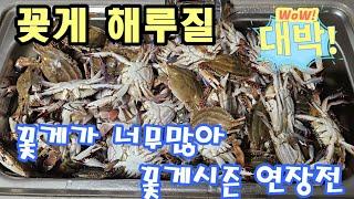 꽃게가 아직 많아서 졸업식연기 #해루질 #꽃게