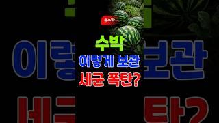 수박 자르고 이렇게 싸면, 세균 폭탄 됩니다! #수박보관법 #여름건강 #시니어건강