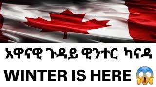 ERITREAN NEW  ተዳለዉ ንዊንተር ካናዳ WINTER CANADA #eritreanmovie #eritreanews #eritrean #habesha #eritv