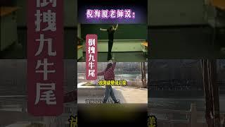 #中醫養生 #倪海厦 #中醫 #中國醫 #中醫藥 #药膳 #倪海廈