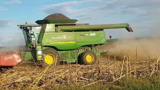 Harvester harvests sunflowers in the field