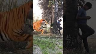 ￼Yar Tera hero khalnayak ho gaya ￼Tree ME ghusne wala animal video #amazing​ #video #golukumarvfx