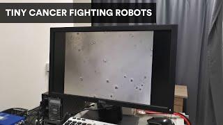 These microscopic robots fight brain tumors in mice