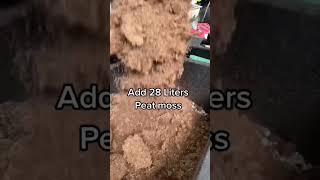 How Mama Judy makes her go-to soil mix for veggies and fruit plants! ‍ #garden #shorts